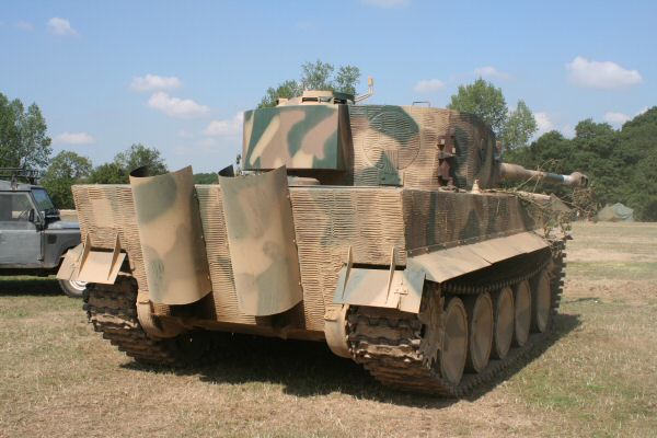 tiger 2.jpg